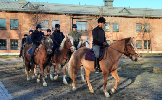 Artikkelin Jopa liki 30 hevosta Lappeenrannan valtakunnallisessa itsenäisyyspäivän paraatissa 6.12. – Harjoituksia pitkin syksyä pääkuva