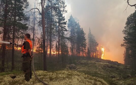Artikkelin Kun taistelut sytyttävät metsät pääkuva