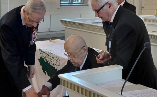Artikkelin Parikkalassa naulattiin tammenlehvän lippu veteraanipäivänä pääkuvake